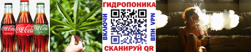 где можно купить наркотик  KRAKEN зеркало  Печенье с ТГК марихуана  Махачкала 