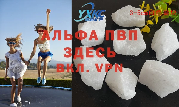 тгк Новосибирск