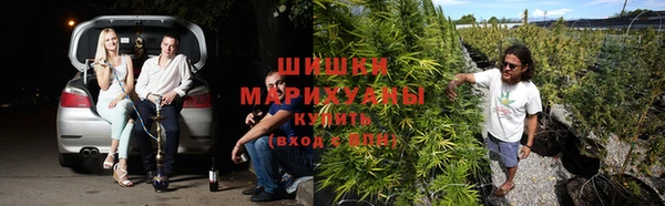 первитин Покачи