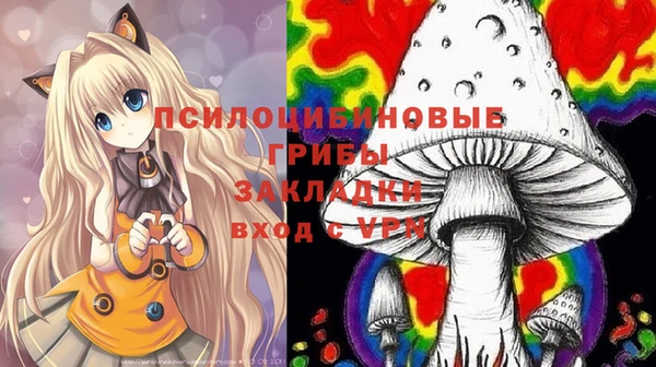 мяу мяу мука Ессентукская