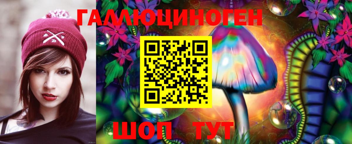 Махачкала  Галлюциногенные грибы прущие грибы  Вход с VPN 